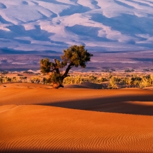 Western Sahara photo 3